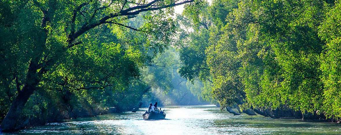 Sundarban